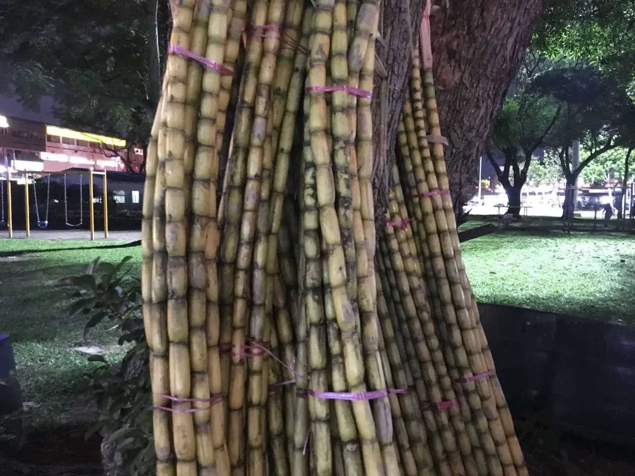 Sesiones de Cine en Vivo en Kuala Lumpur — 16